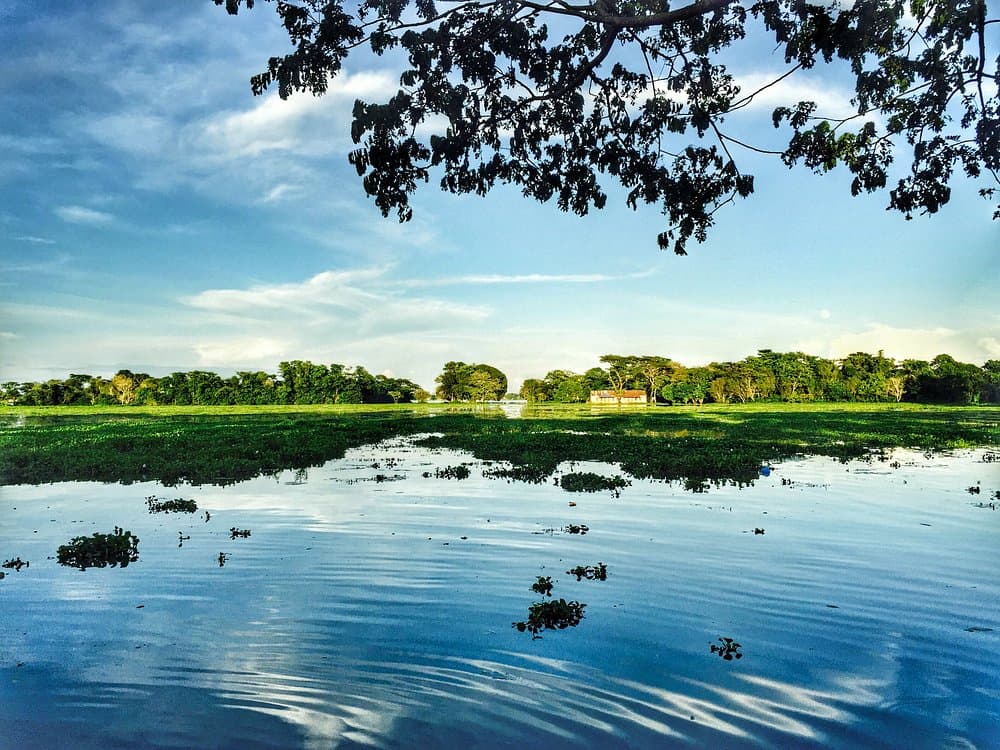Wetland landscape in Bangladesh
